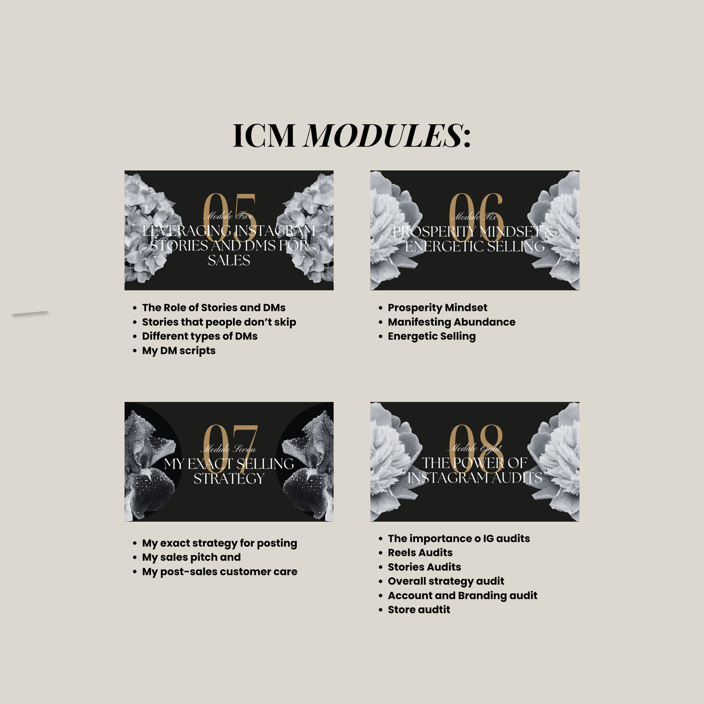 Instaconversions Mastery + Mentorship