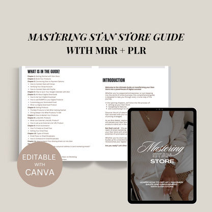 Mastering Stan Store Guide