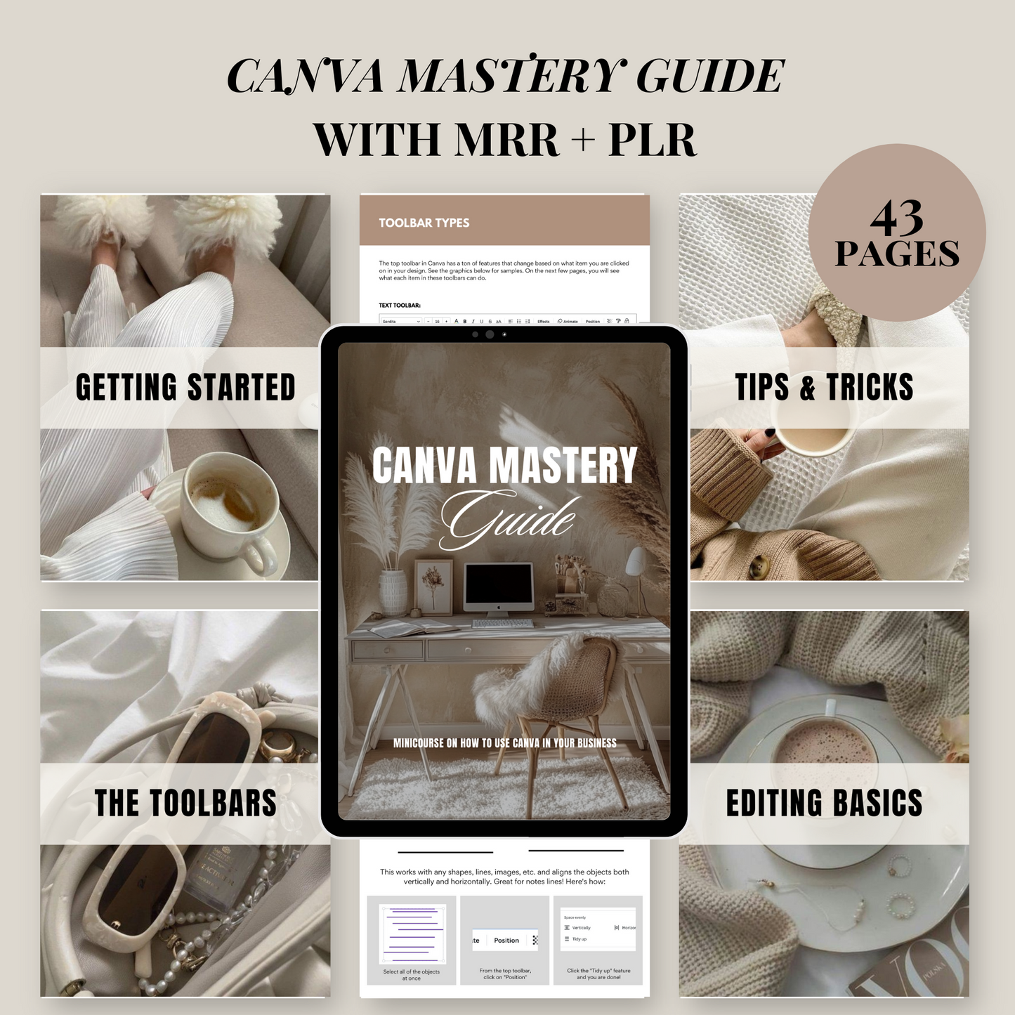 Canva Mastery Guide