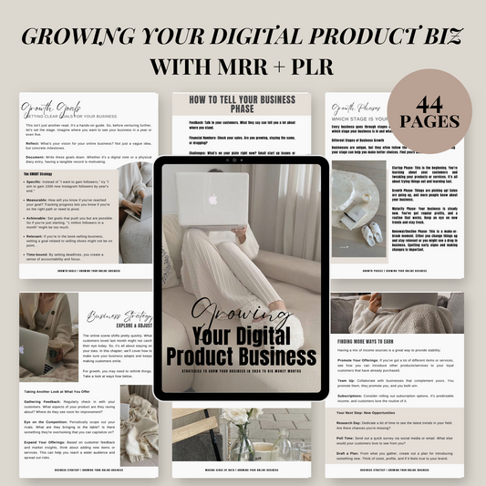 Growing Your Digital Product Business Guide